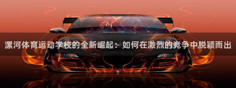 MK体育官方正版app科技：漯河体育运动学校的全新崛起：如何