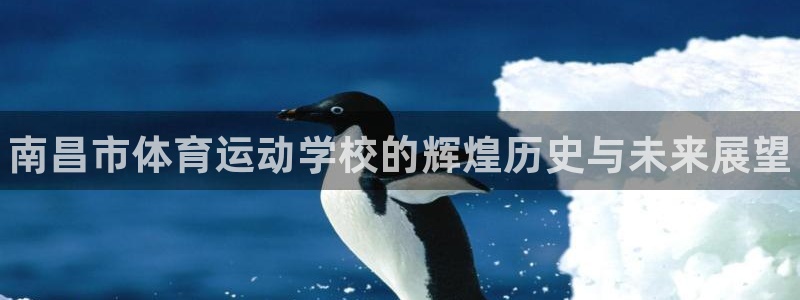 MK体育官网下载平台注册流程视频：南昌市体育运动学校的辉煌历