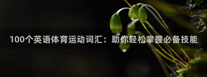 MK体育官网下载平台是正规平台吗：100个英语体育运动词汇：