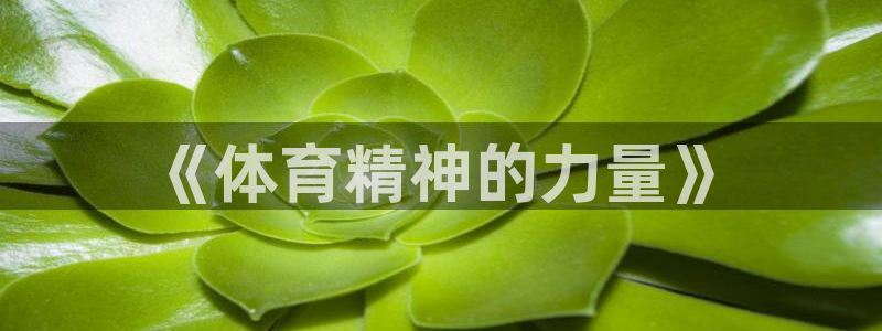 MK体育官网下载官方客服电话：《体育精神的力量》