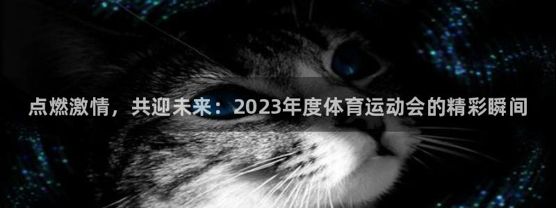 MK体育官方正版app神州：点燃激情，共迎未来：20