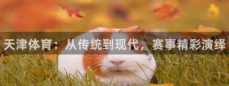 MK体育官网下载招商电话是多少啊：天津体育：从传统到