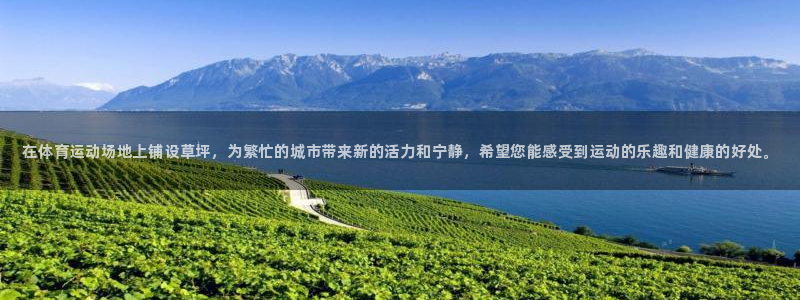 MK体育官网下载平台注册要钱吗是真的吗：在体育运动场地上铺设