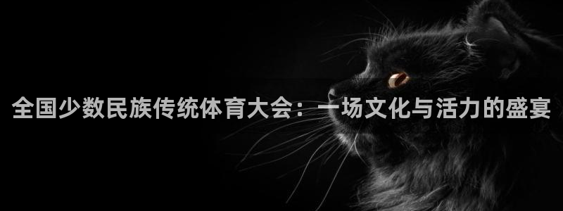 MK体育官方正版app神州：全国少数民族传统体育大会：一场文
