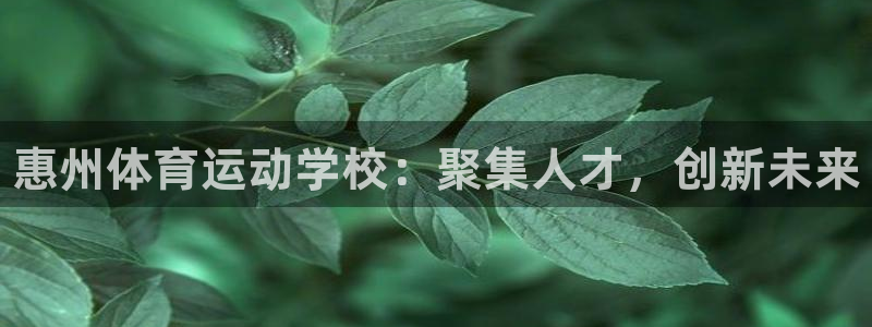 MK体育官网下载：惠州体育运动学校：聚集人才，创新未来