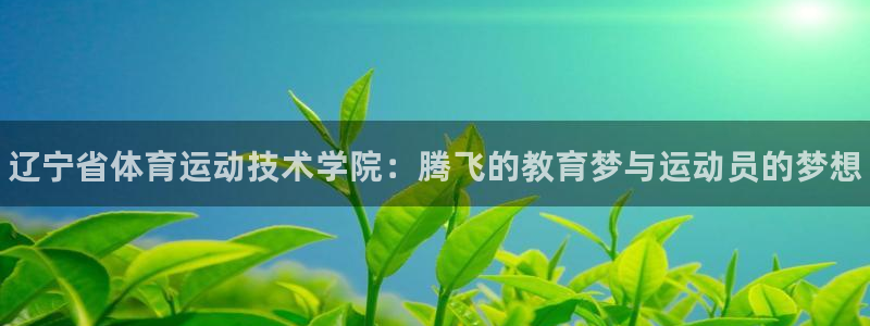 MK体育官方正版app集团简介：辽宁省体育运动技术学