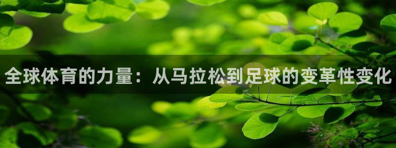 MK体育官网下载平台是正规平台吗：全球体育的力量：从马拉松到
