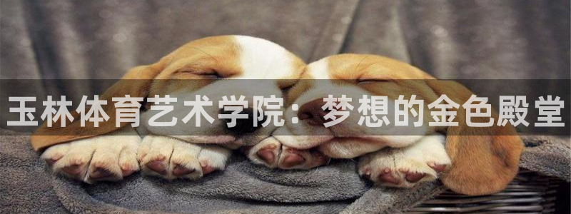 MK体育官网下载招商电话是多少啊：玉林体育艺术学院：