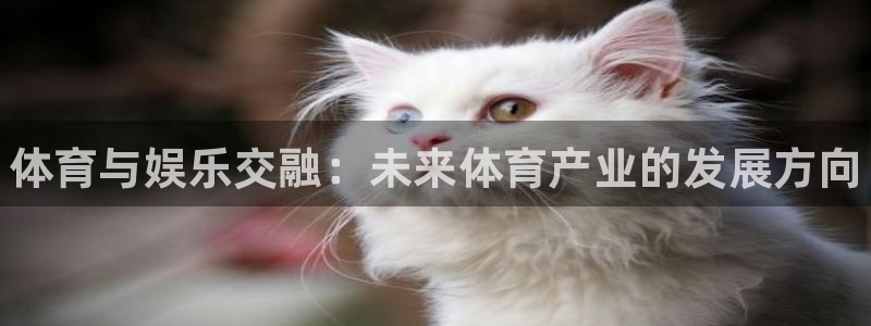 MK体育官方正版app娱乐是那个系列的台子：体育与娱