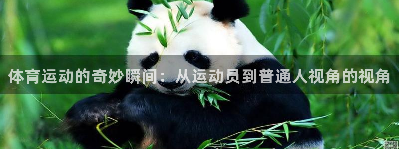 MK体育官方正版app官方：体育运动的奇妙瞬间：从运动员到普