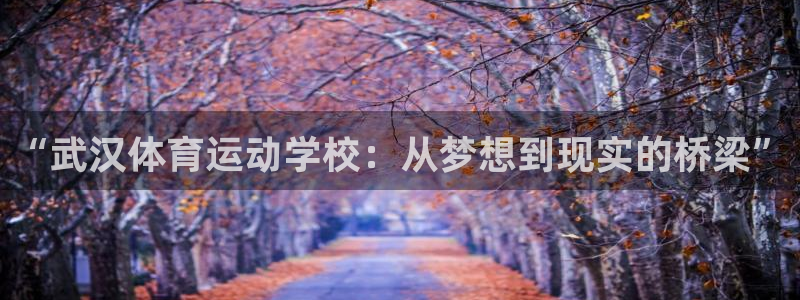MK体育官网下载联系电话：“武汉体育运动学校：从梦想到现实的