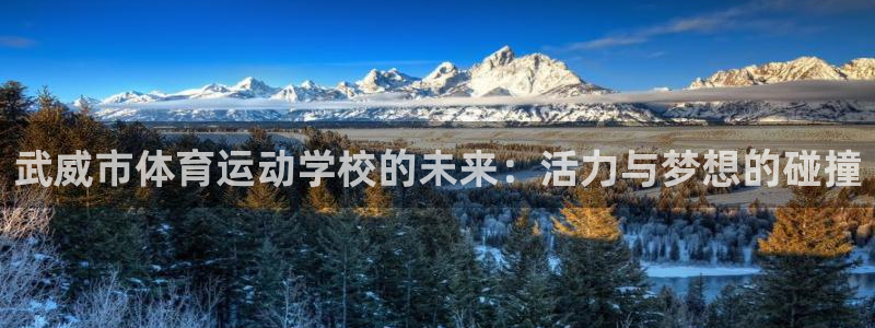 德国MK体育官方正版app集团：武威市体育运动学校的未来：活