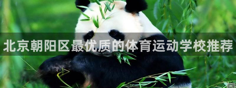 德国MK体育官方正版app集团：北京朝阳区最优质的体育运动学