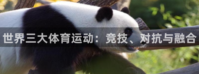 MK体育官网下载招商电话地址是多少：世界三大体育运动