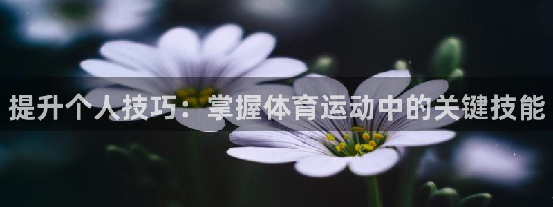MK体育官网下载招商电话号码是多少：提升个人技巧：掌握体育运