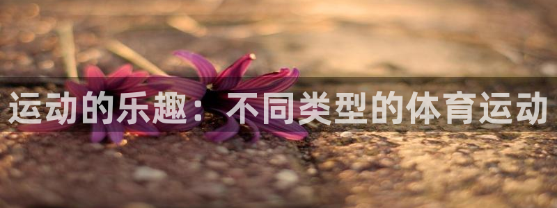 MK体育官网下载招商电话号码查询：运动的乐趣：不同类型的体育