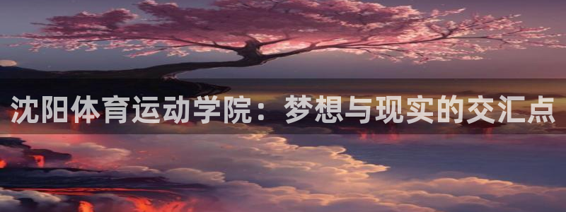 MK体育官网下载招商电话地址查询：沈阳体育运动学院：梦想与现
