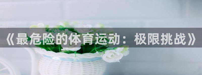 MK体育官网下载招商电话：《最危险的体育运动：极限挑战》