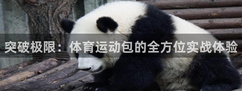 MK体育官方正版app集团logo