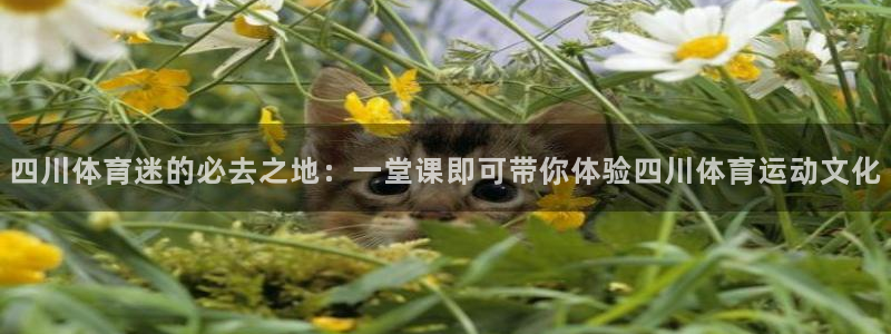 MK体育官方正版app官网：四川体育迷的必去之地：一堂课即可