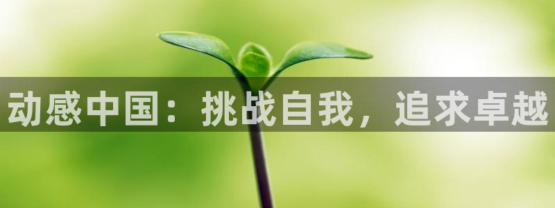 MK体育官网下载联系电话