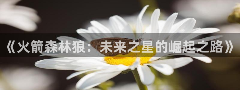 袋鼠在线体育直播：《火箭森林狼：未来之星的崛起之路》
