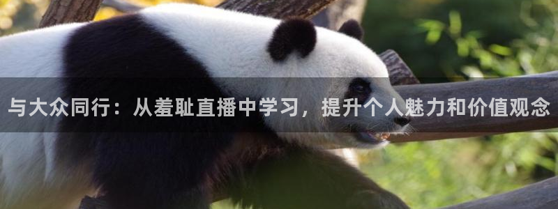 袋鼠nba体育：与大众同行：从羞耻直播中学习，提升个人魅力和价值观念