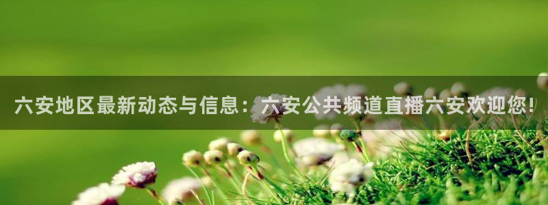 袋鼠体育直播：六安地区最新动态与信息：六安公共频道直播六安欢迎您!