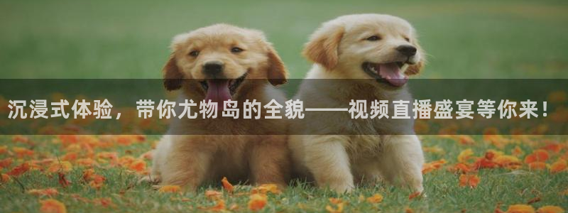 袋鼠体育直播官网：沉浸式体验，带你尤物岛的全貌——视频直播盛宴等你来！
