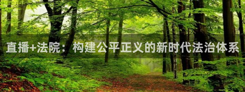 袋鼠体育直播足球：直播+法院：构建公平正义的新时代法治体系