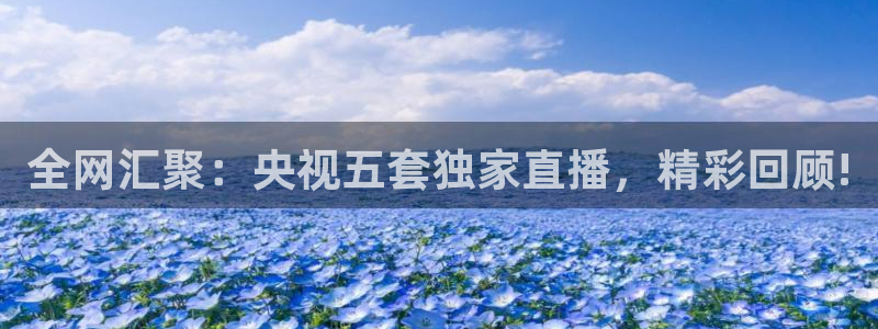 nba袋鼠直播：全网汇聚：央视五套独家直播，精彩回顾!