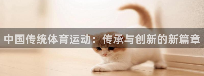 mk体育app官网版最新版本更新内容是什么：中国传统体育运动