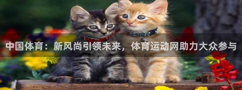 MK体育恩波利合作伙伴：中国体育：新风尚引领未来，体育运动网