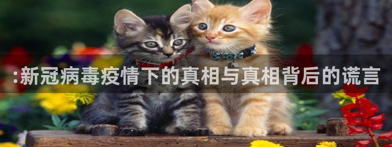 袋鼠体育足球直播：:新冠病毒疫情下的真相与真相背后的谎言