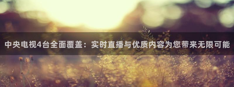 袋鼠体育免费直播：中央电视4台全面覆盖：实时直播与优质内容为您带来无限可能