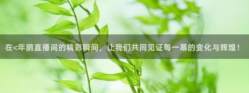 袋鼠直播jrs：在<年鹏直播间的精彩瞬间，让我们共同见证每一幕的变化与辉煌！