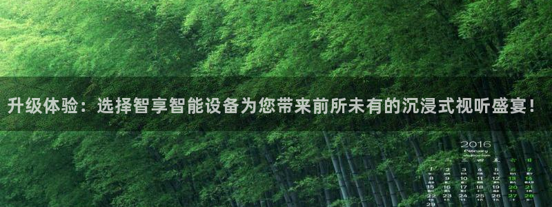 袋鼠体育直播足球：升级体验：选择智享智能设备为您带来前所未有的沉浸式视听盛宴！