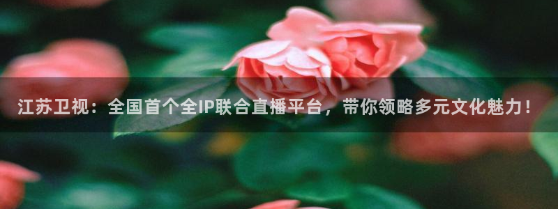 袋鼠直播体育在线：江苏卫视：全国首个全IP联合直播平台，带你领略多元文化魅力！