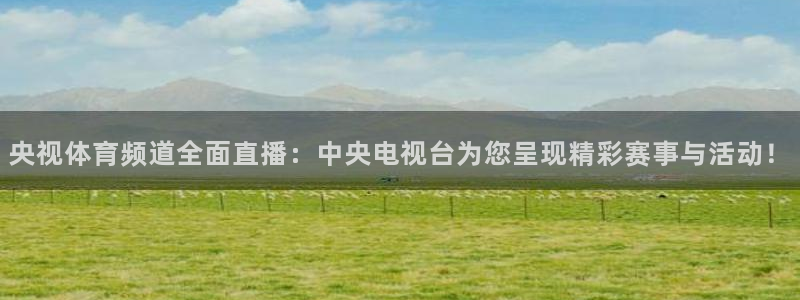 袋鼠直播篮球：央视体育频道全面直播：中央电视台为您呈现精彩赛事与活动！