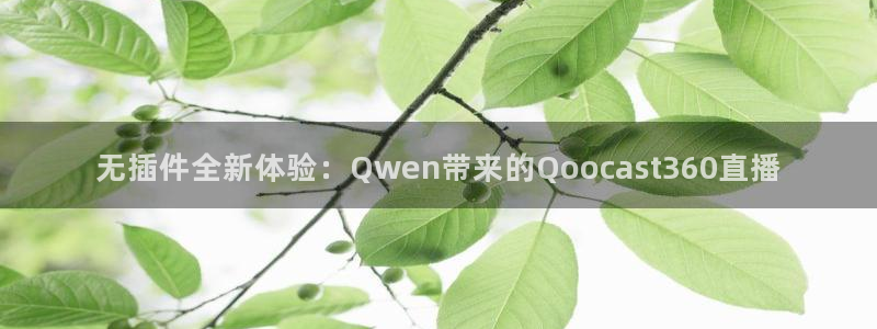 袋鼠直播体育app下载：无插件全新体验：Qwen带来的Qoocast360直播