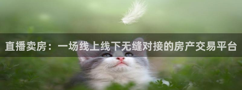 袋鼠体育app：直播卖房：一场线上线下无缝对接的房产交易平台